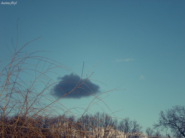 chmura.