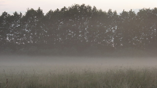 mwisz, e odczuwasz satysfakcj