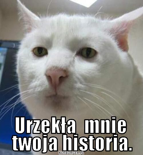 ssij pae suko! 