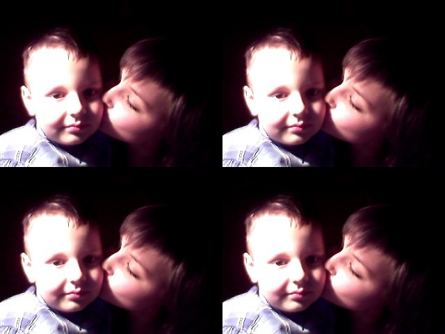 Cypis ; >