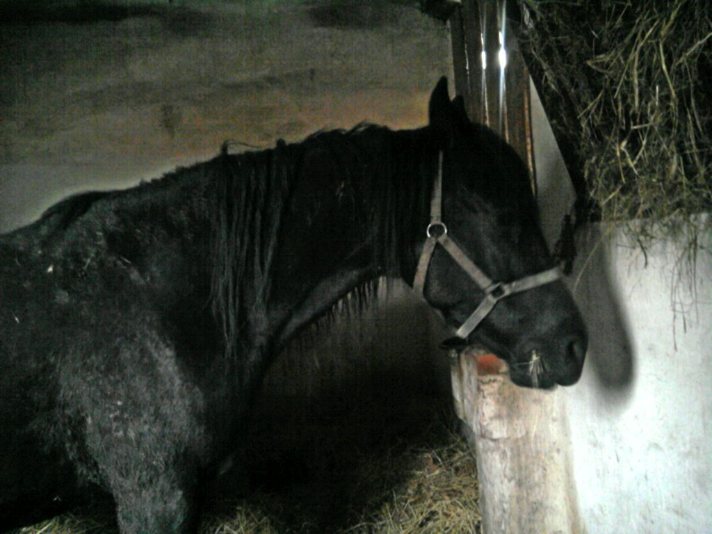 Agawa ;**