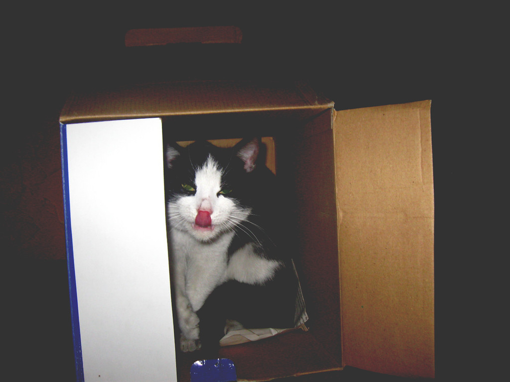 ninja