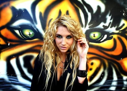 Tygrysty 2 . ;o .