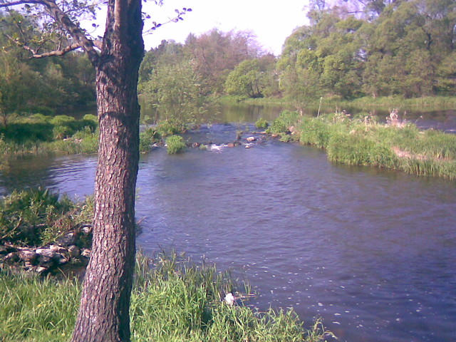 Panta rei