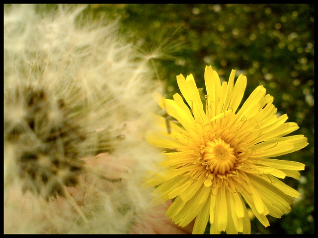 Cudownie. 