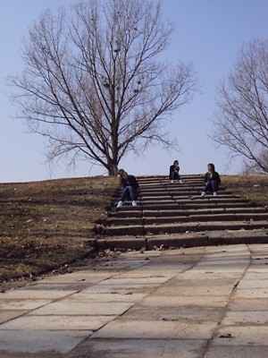 5.