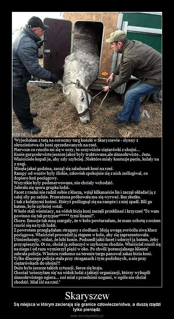 Skaryszew