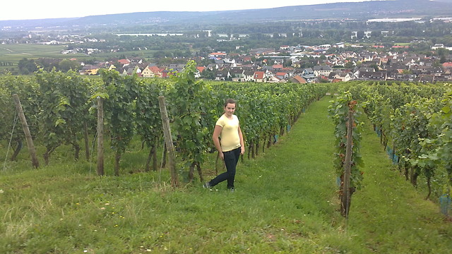 Niemcy . Winnica ;P:P