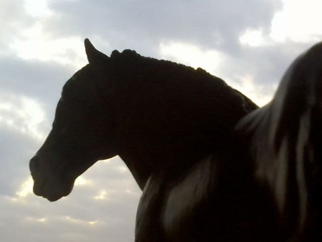 Shire