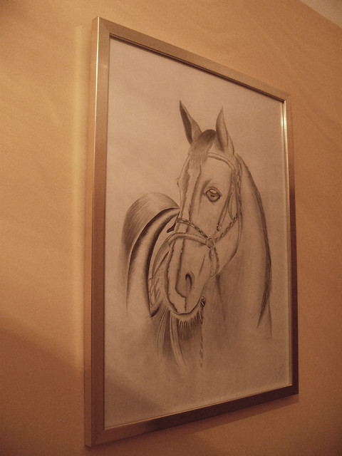 horse