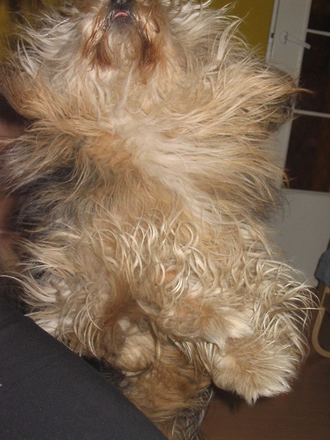 Borys