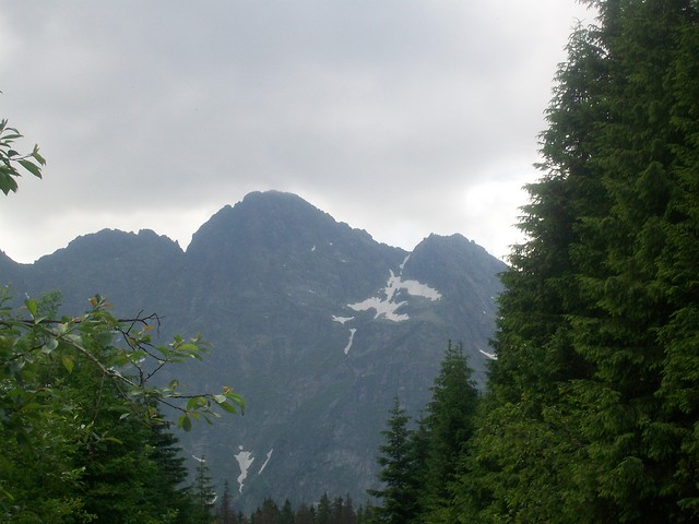 Pejza polskich gr.