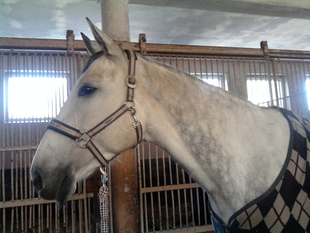 Siwa :))