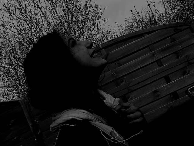 dzie - KOSZMAR