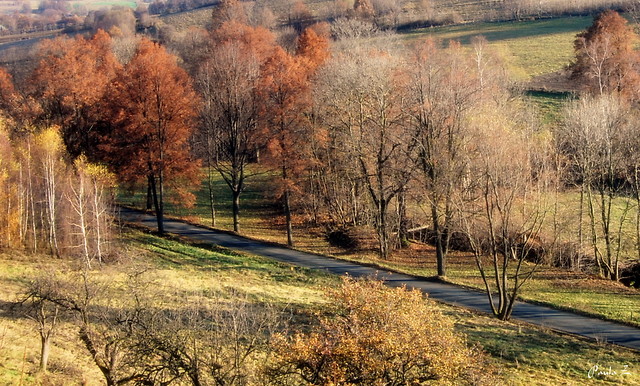 pragnienie 