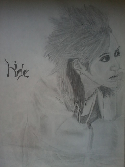Hide