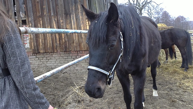 Klonik ;**