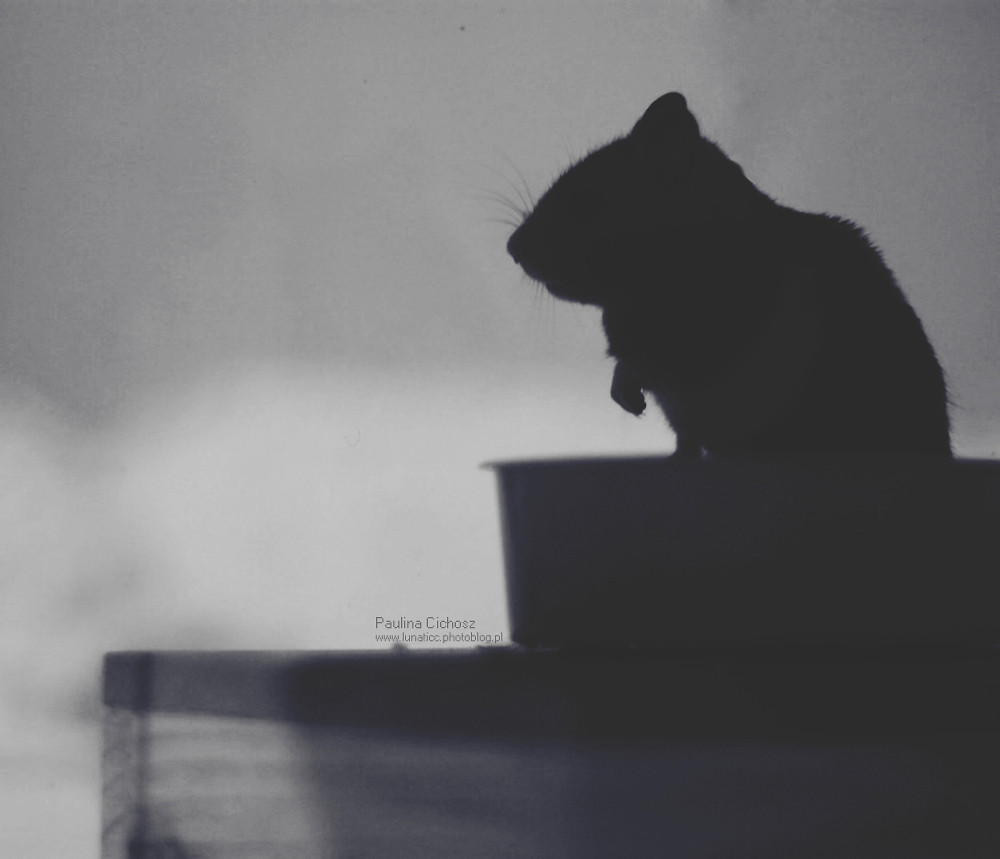 Yearn.