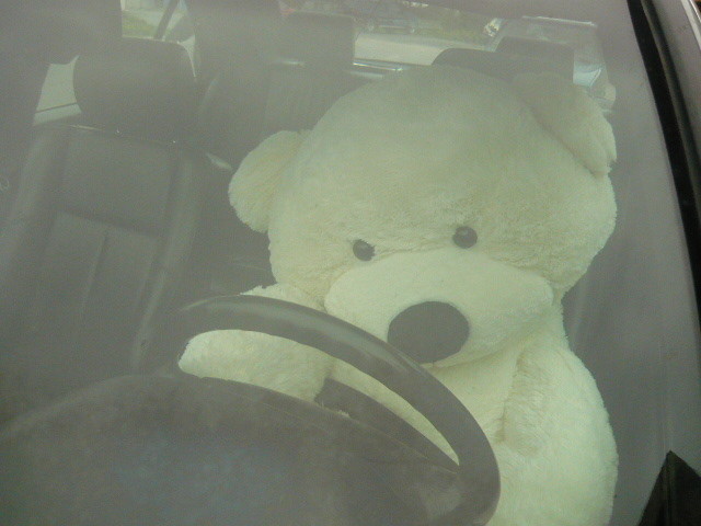 MiQ Dari ;p