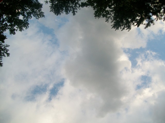 .known views.