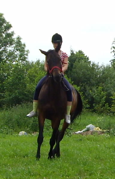 ^^na Alasce^^