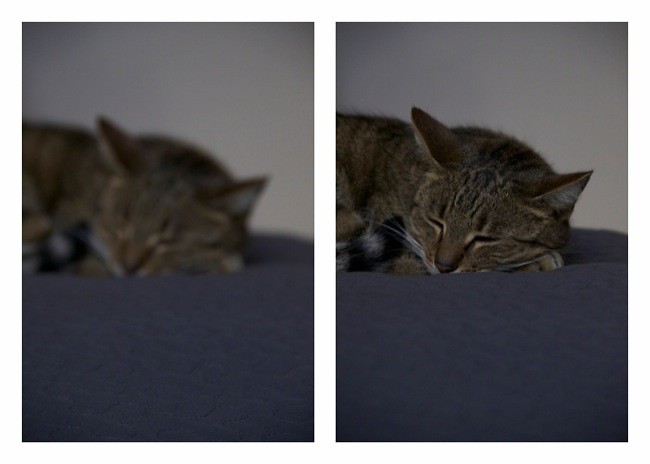 Sleeping Beauty