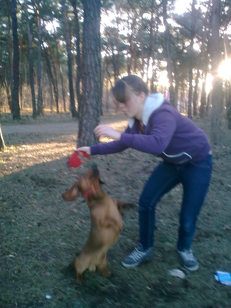Latajca kupa i klaun z cyrku 