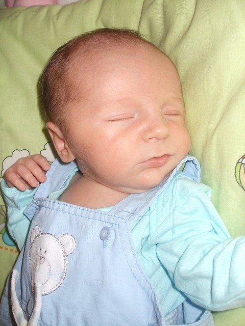 Wiktor