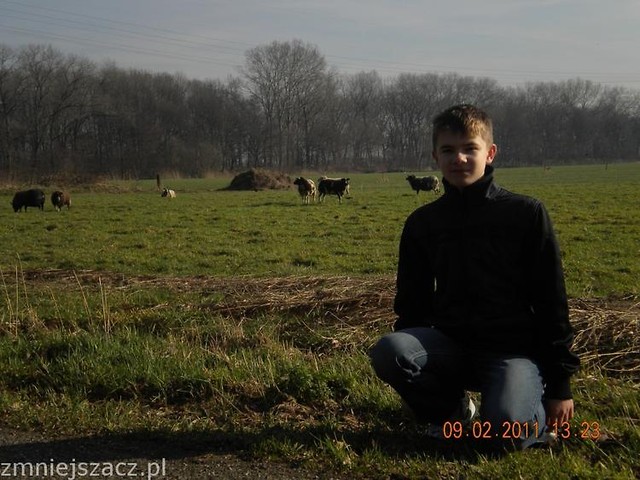 HOLLAND!!!!1