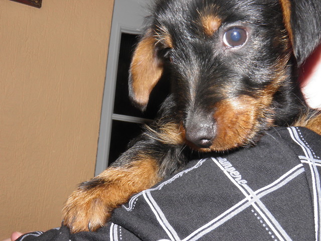 Top model;D 