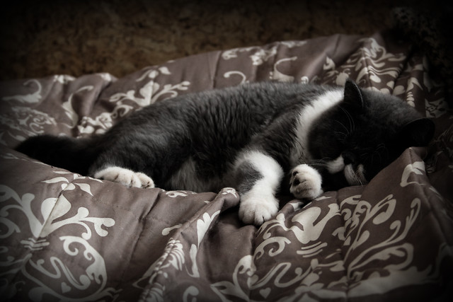 Gustaw.