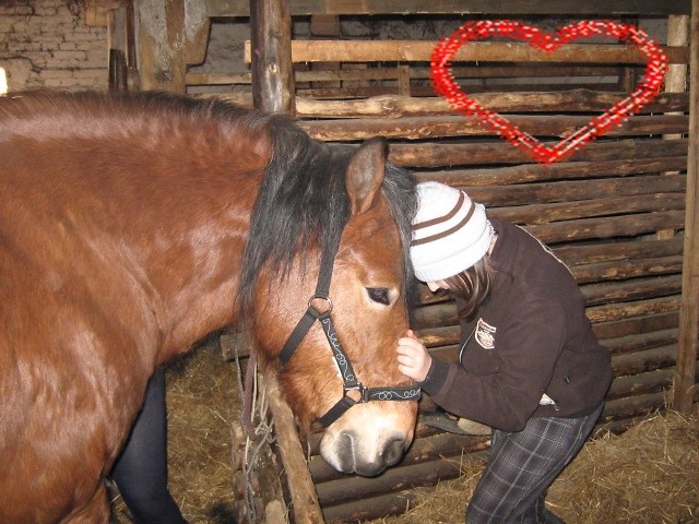 Z moim ;***