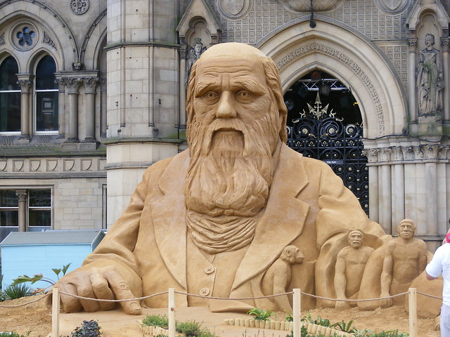 Darwin... z piasku:)