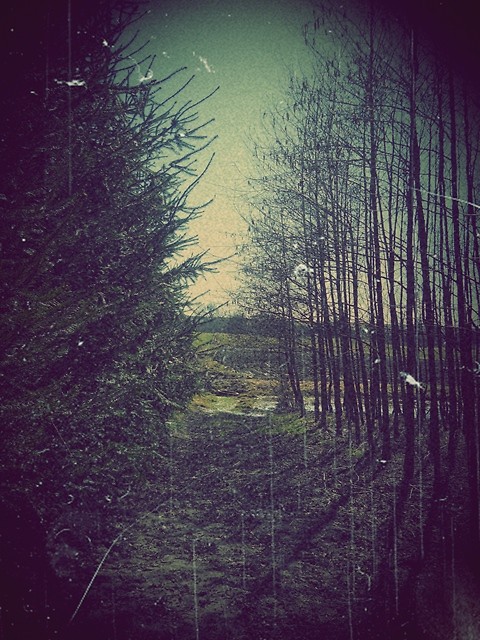 Fajne