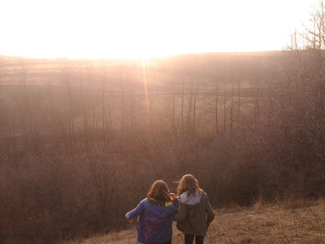 spring.