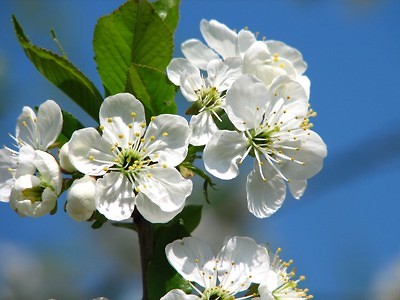 wiosennie .. ! 