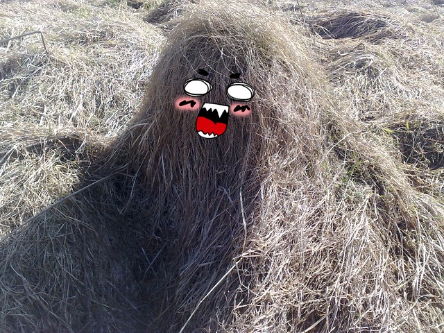 stworek ;D