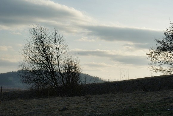 Wiosna.