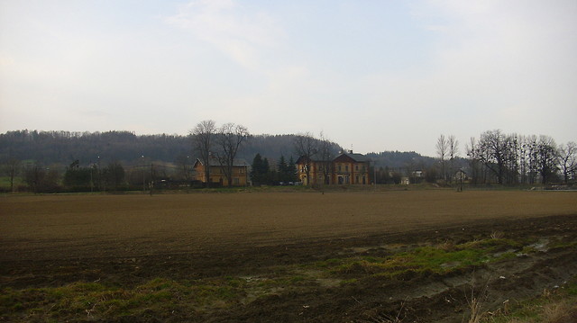 goleszw