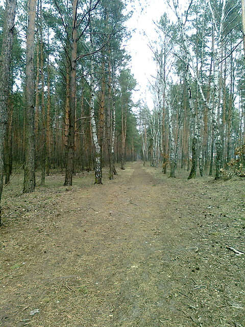 Wiosennie.