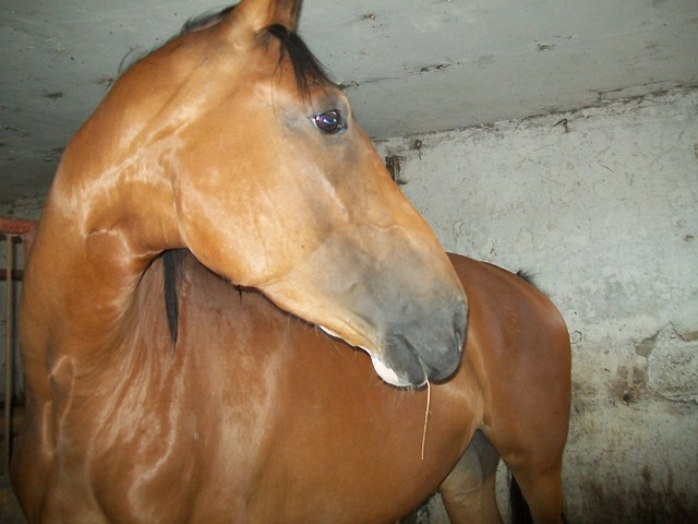 Boruta :-)