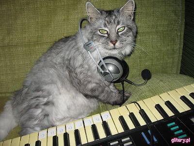 DJ