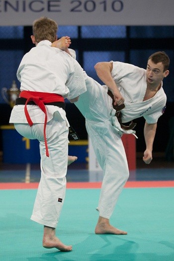Oyama Top