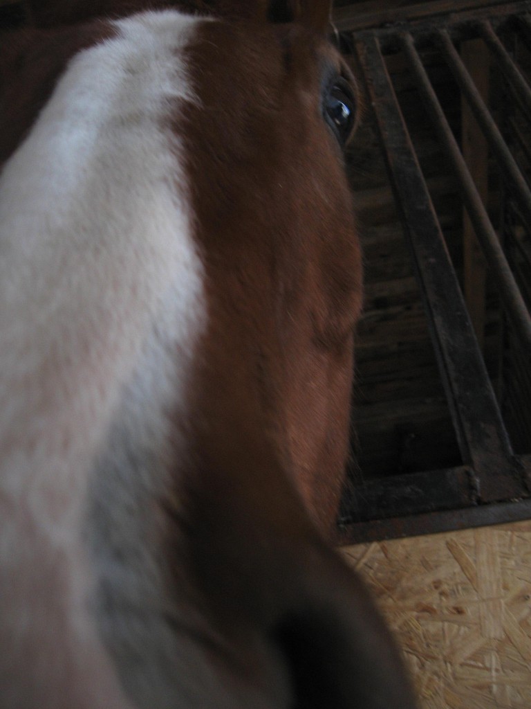 Ogr;**