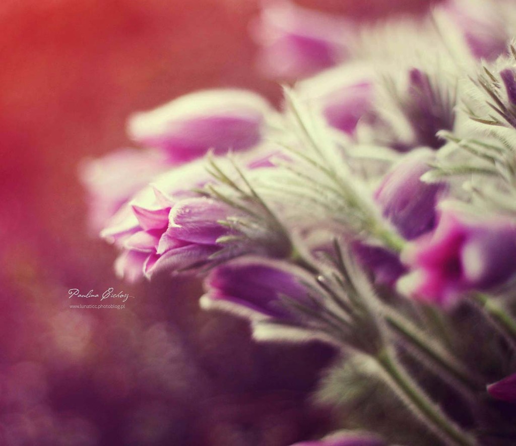 nothing.