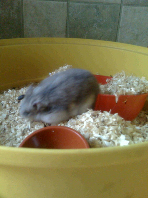 Pusioooo0o00o0o0o0o00o0o0o00o0..