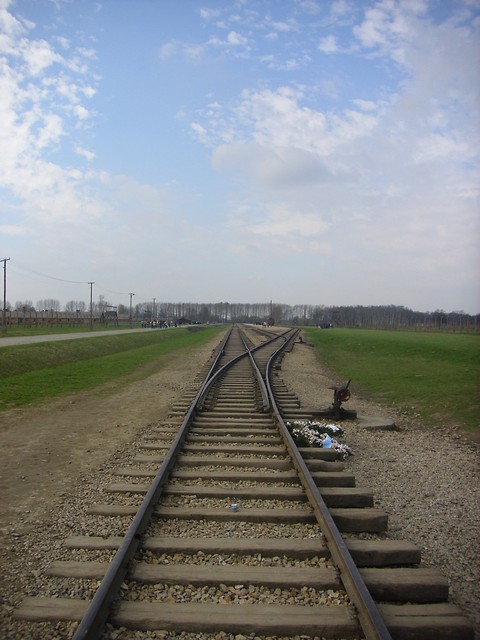 auschwitz birkenau