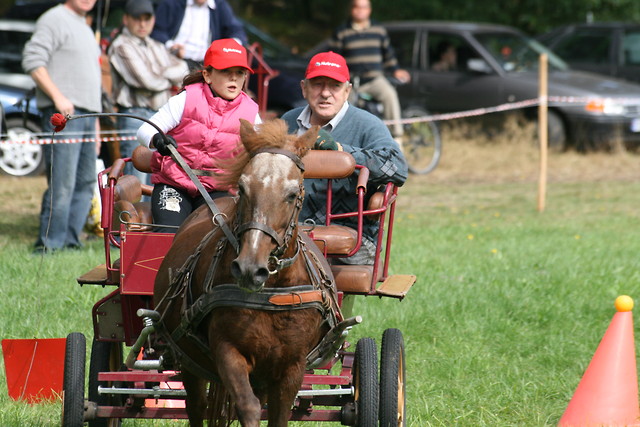 ja na zawodach konnych 2010r