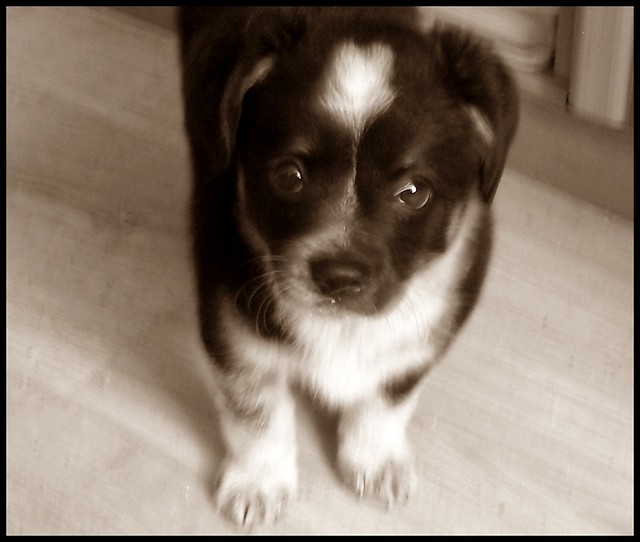 Czesaw:**