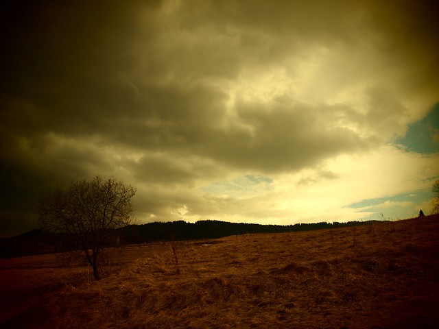 ... dreams, dreams, dreams ,,,